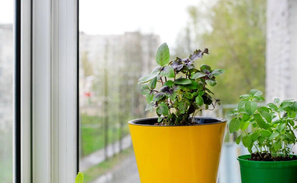 balkon camı tamırı